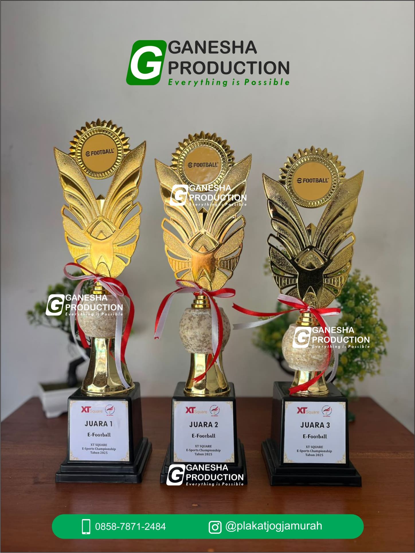 Piala Plastik E-Sports Elegan